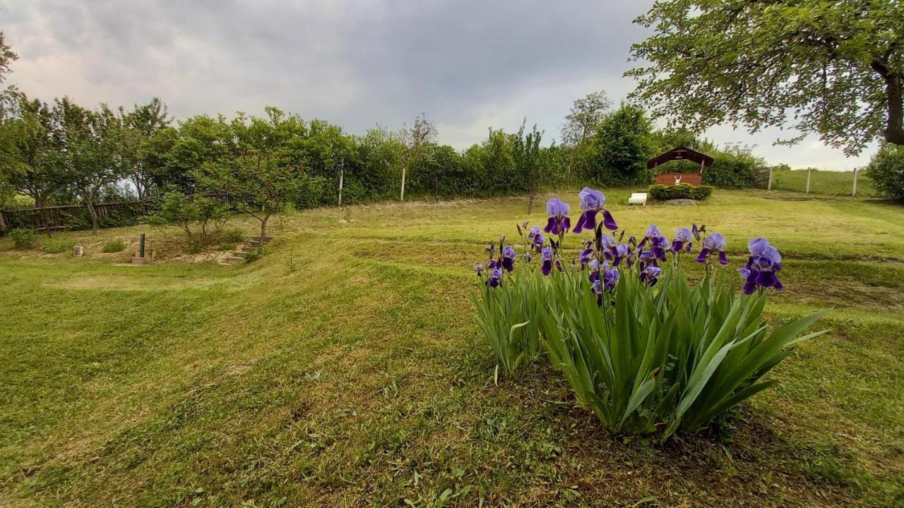 Apartamento Vadászles Vendégház Bukkszentmarton Exterior foto